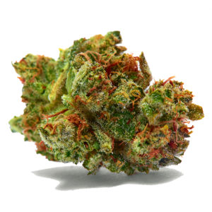 Close up of medical marijuana sativa strain Sour Diesel on white